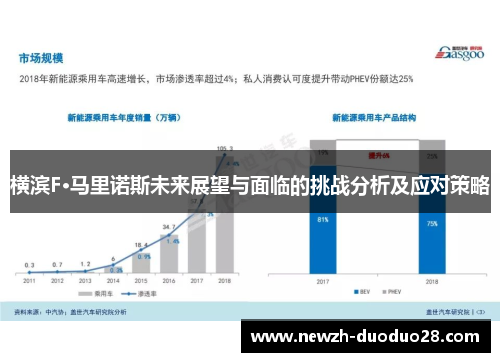 横滨F·马里诺斯未来展望与面临的挑战分析及应对策略 横滨F·马里诺斯未来展望与面临的挑战分析及应对策略