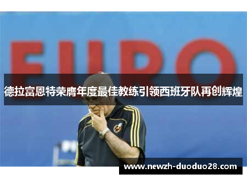 德拉富恩特荣膺年度最佳教练引领西班牙队再创辉煌